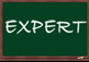 Original_expert_mini